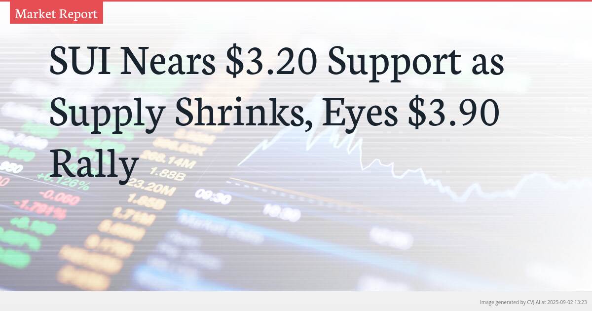 SUI Nears $3.20 Support as Supply Shrinks, Eyes $3.90 Rally